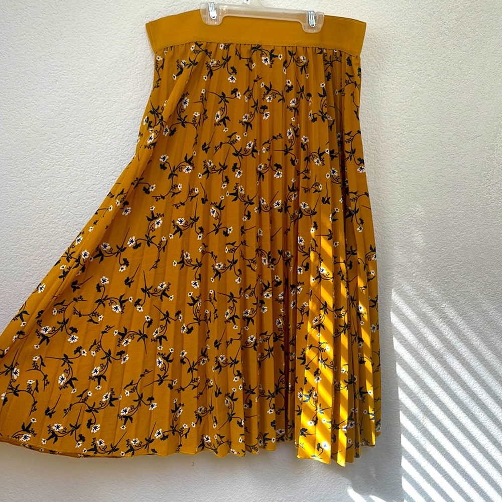 Women’s Medium Accordian Skirt Andi+James